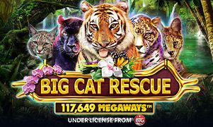Big Cat Rescue Megaways Esportiva Bet
